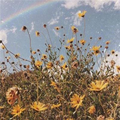 leyu·乐鱼中国官方网站