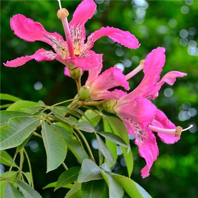 江南全站app下载官方网站