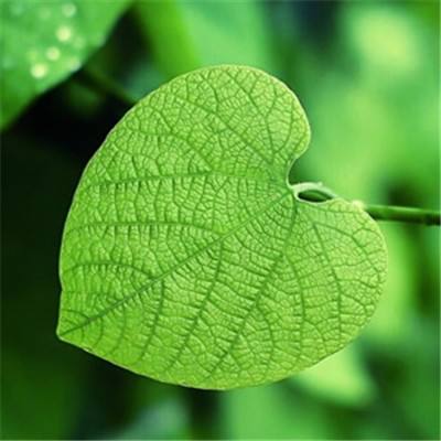 万博手机版max网页版(中国)官方网站下载手机版